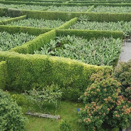 Quinta Do Avo Feriehus *