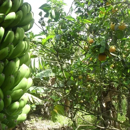 Quinta Do Avo * Ribeira das Tainhas